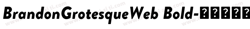 BrandonGrotesqueWeb Bold字体转换